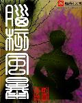 脑核风暴txt八零