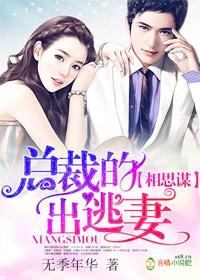 相思谋总裁的出逃妻
