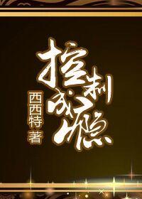 控制成瘾讲的什么