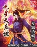 九星天辰诀顶点