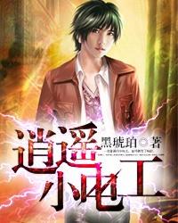 逍遥小电工作者 黑琥珀