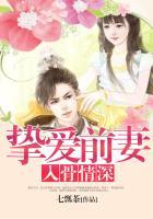 挚爱前妻入骨情深全文