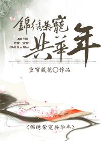 锦绣华年意思