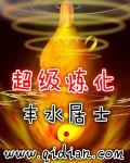 超级炼化炉txt