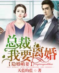隐婚总裁请离婚签字免费阅读