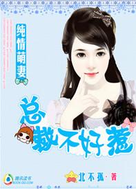 总裁蛮妻不好惹全文免费