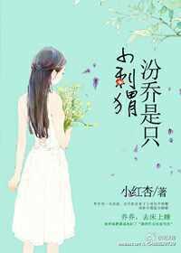 小红杏汾乔是只小刺猬