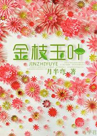 金枝玉叶剧情介绍(全48集)