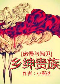 傲慢与偏见贵族淑女