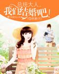 总统大人我们结婚吧书包网