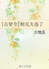 师兄古代言情