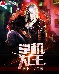 掌机王ns4 pdf