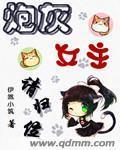 炮灰女主是什么意思