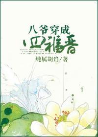 八爷穿成四福晋txt