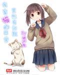 猫咪日常
