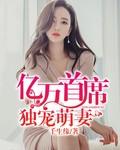 亿万首席独宠萌妻小娇妻