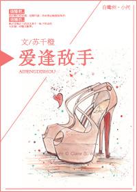 爱逢对手电视剧第1集