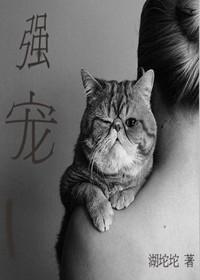 强宠文