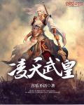 凌天武皇属于什么档次
