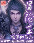 冒险王3olcdk激活码