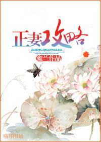 正妻攻略三皇子攻略