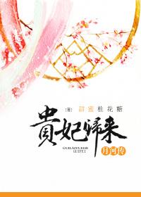 贵妃归来105章