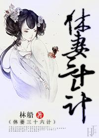 休妻三十六计g