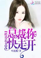 总裁追妻老婆你别闹免费阅读