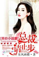 总裁的天价小逃妻霍柒柒