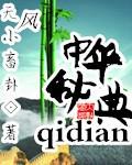中华中药典集