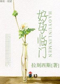 好孕降临电视剧