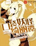 口袋妖怪利奇冰