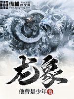 龙象国际物流单号查询