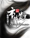 市井贵胄TXT电子书