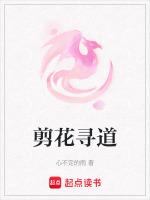 剪花寻道