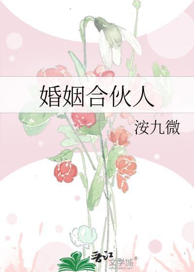婚姻合伙人