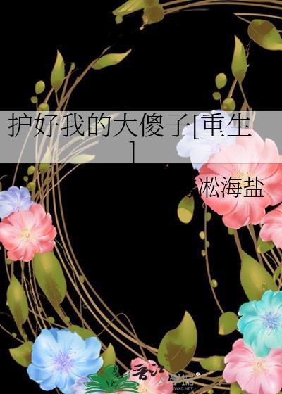 护好我的大傻子[重生]