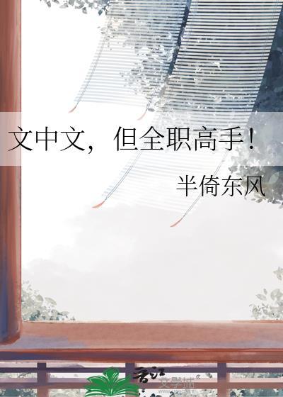 文中文,但全职高手!
